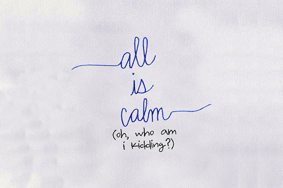 Funny Saying Embroidery Design Review
